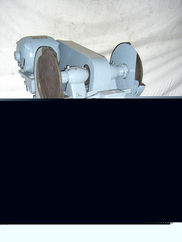 Dual disc 12